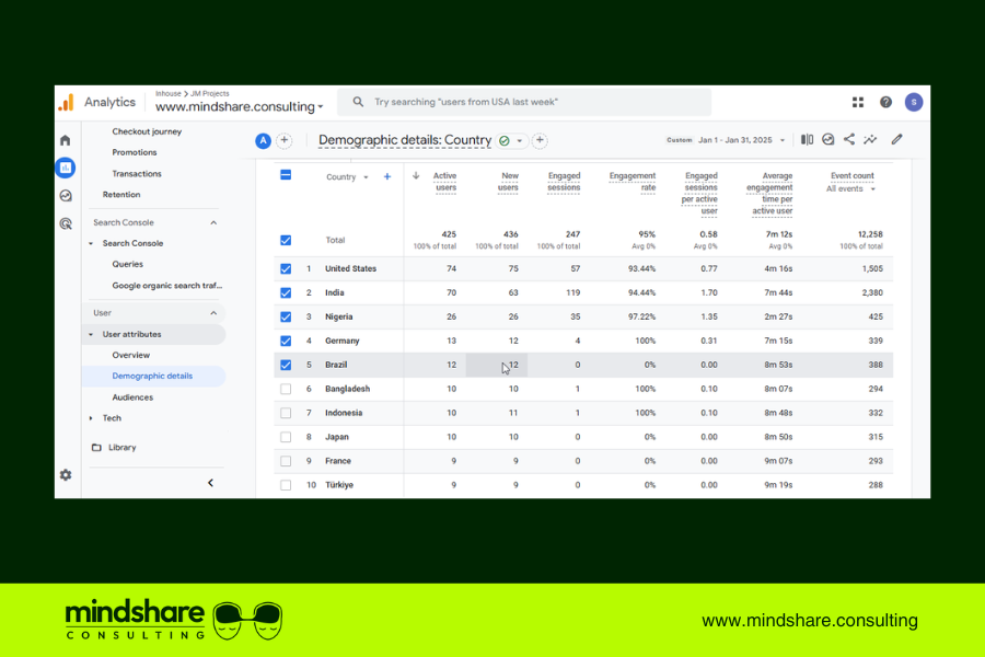 Google Analytics Demographics Report