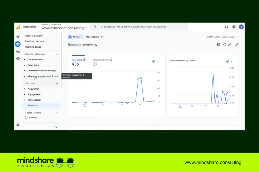 Google Analytics Retention Report